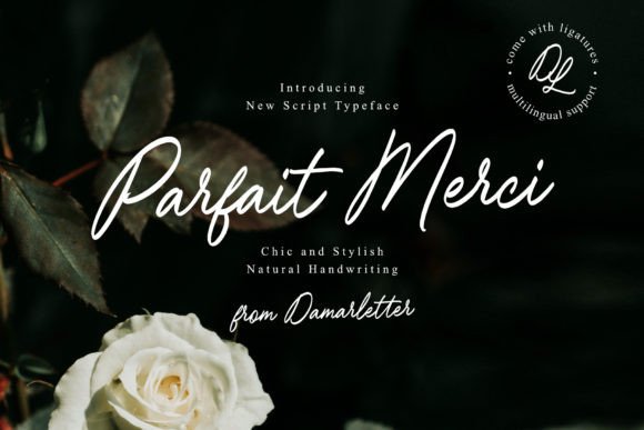 Parfait Merci: The Font That Elevates Your Brand